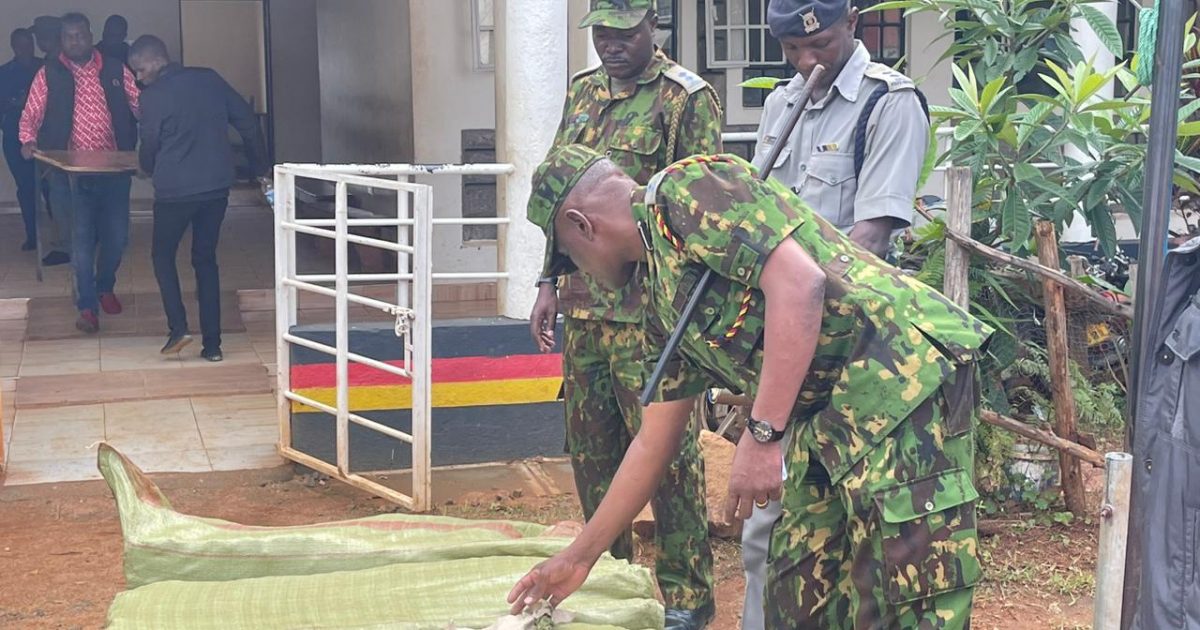 Police arrest drug suspect, intercept Sh4.29 million bhang – Kenya News Agency