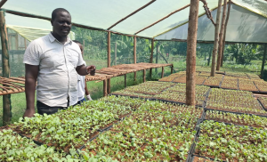 7,000 rural youth to benefit from Agri-jobs 4 youth initiative – Kenya News Agency