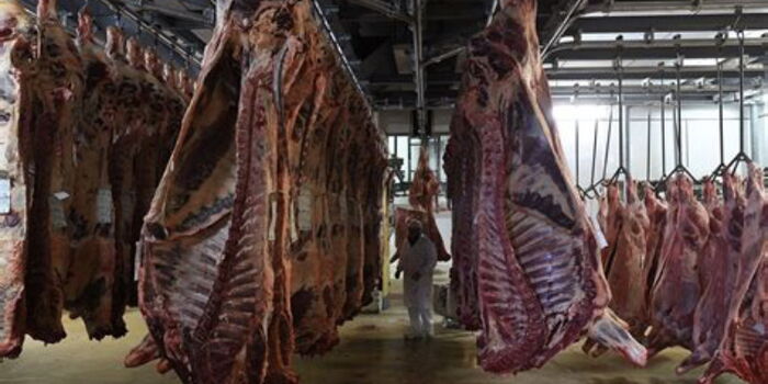 Veterinary Doctors Warn Kenyans Over Consumption of Dangerous Meat