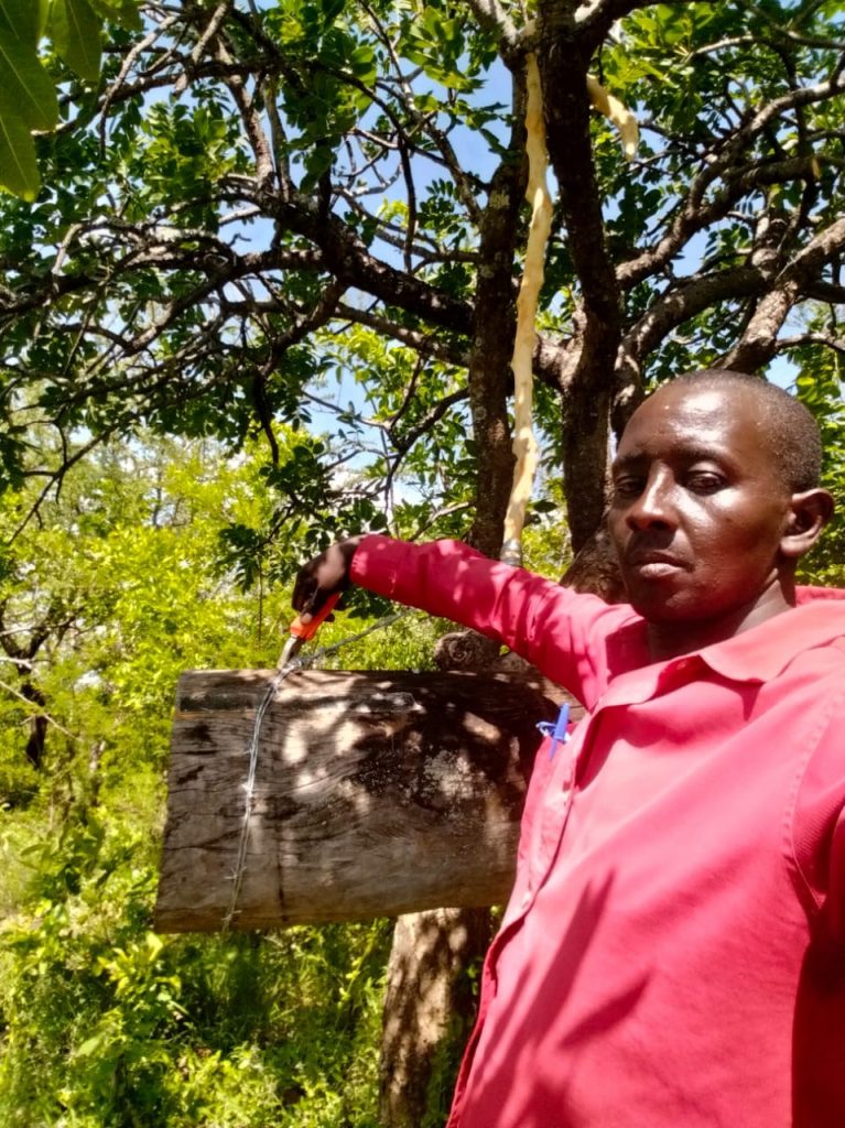 Kivaa Youth venture on Commercial beekeeping – Kenya News Agency