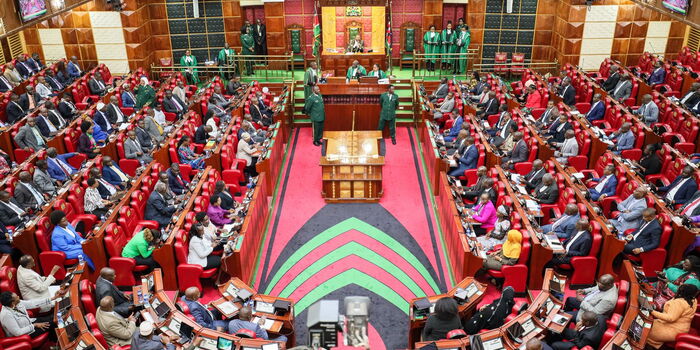 MPs Launch Third Attempt to Constitutionalised CDF, Senate Fund