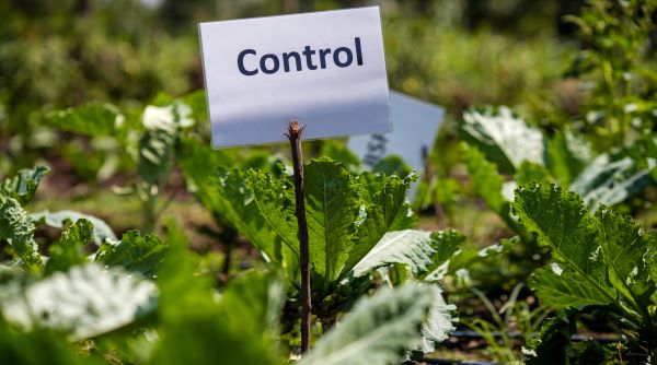 Farmers set for boon in new business model – Kenya News Agency