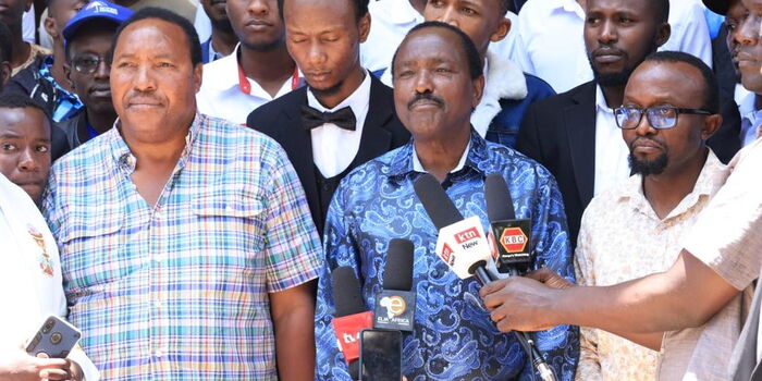 Kalonzo Slams Govt Accusing It of Abducting Billionaire