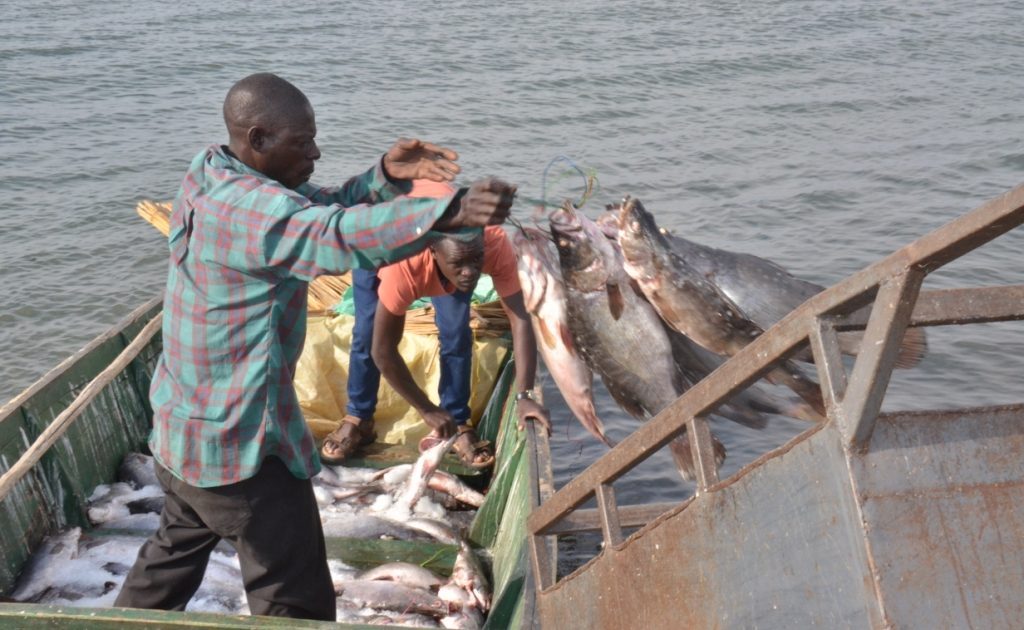 Illegal fishing gear worth Sh1.8 million destroyed in Rarieda – Kenya News Agency