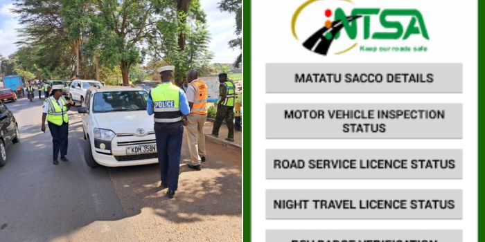 EXPLAINED: How Anyone Can Verify Car Number Plate, Driver's License for Free on NTSA App