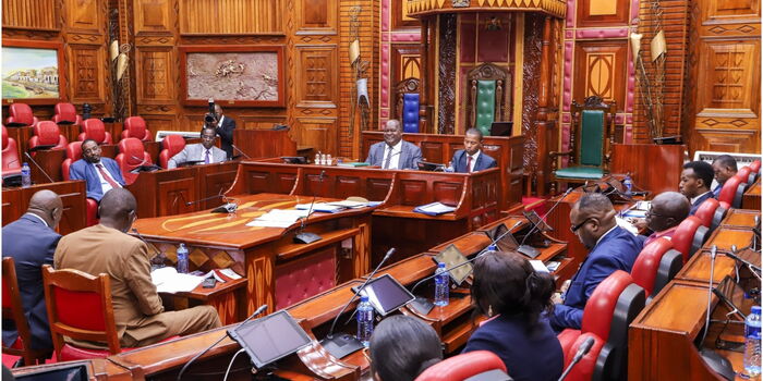 Governors and MPs Differ on Proposal to Entrench Key Funds in Constitution