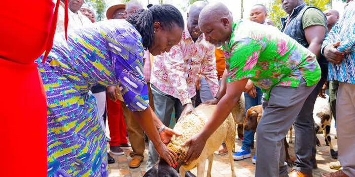 Why Gachagua Apologised to Martha Karua With Sheep