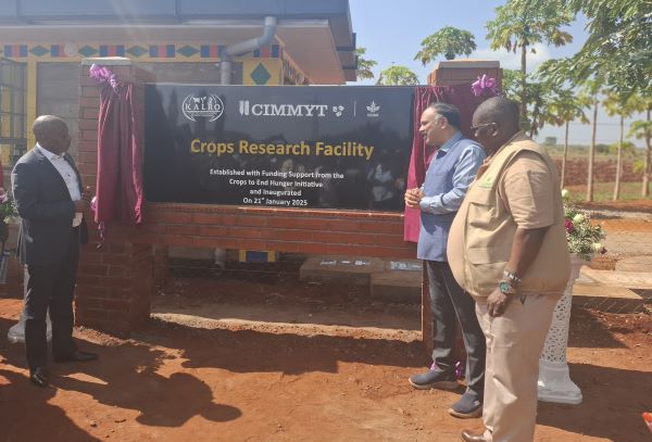 Kiboko Crops Research Facility set for Upgrade – Kenya News Agency