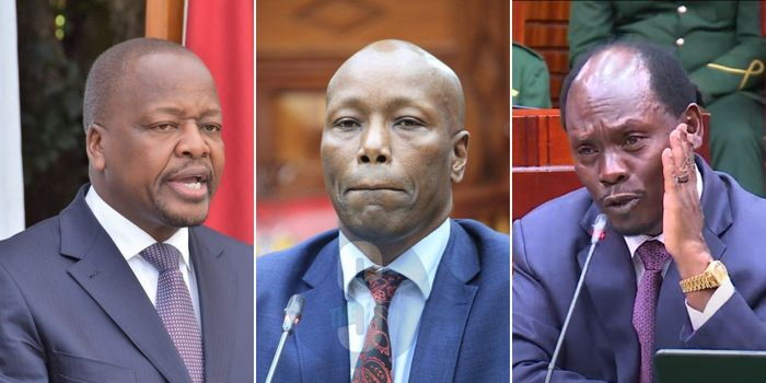 National Assembly Approve Mutahi Kagwe, Kabogo & Lee Kinyanjui as CSs