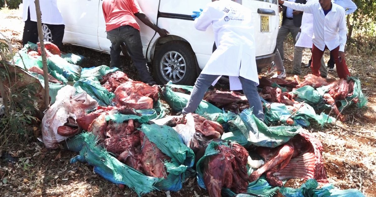 Police in Embu Seize donkey meat On transit – Kenya News Agency