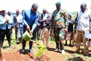 Residents urged to remove exotic trees from wetlands – Kenya News Agency