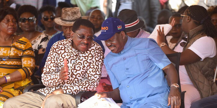 Orengo Urges Raila Party Not to Negotiate With Govt After Azimio Declared Majority in Parliament