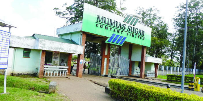 Battle for Mumias Sugar Heats Up as MCAs Move to Kick Out West Kenya Sugar