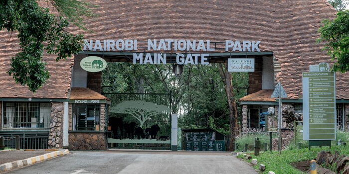 KWS Notifies Kenyans of Changes After Upgrading eCitizen Payment Systems for Parks