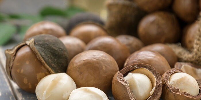 Govt Warns Macadamia Nut Farmers Against Harvesting & Processing Immature Nuts